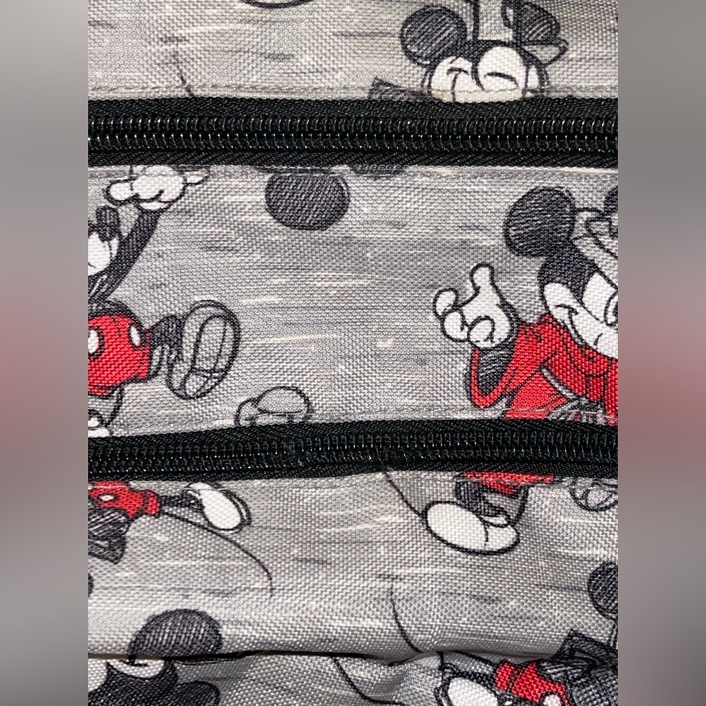 Larger Disney parks Disneyland backpack. USED! READ ALL - Picture 2 of 14